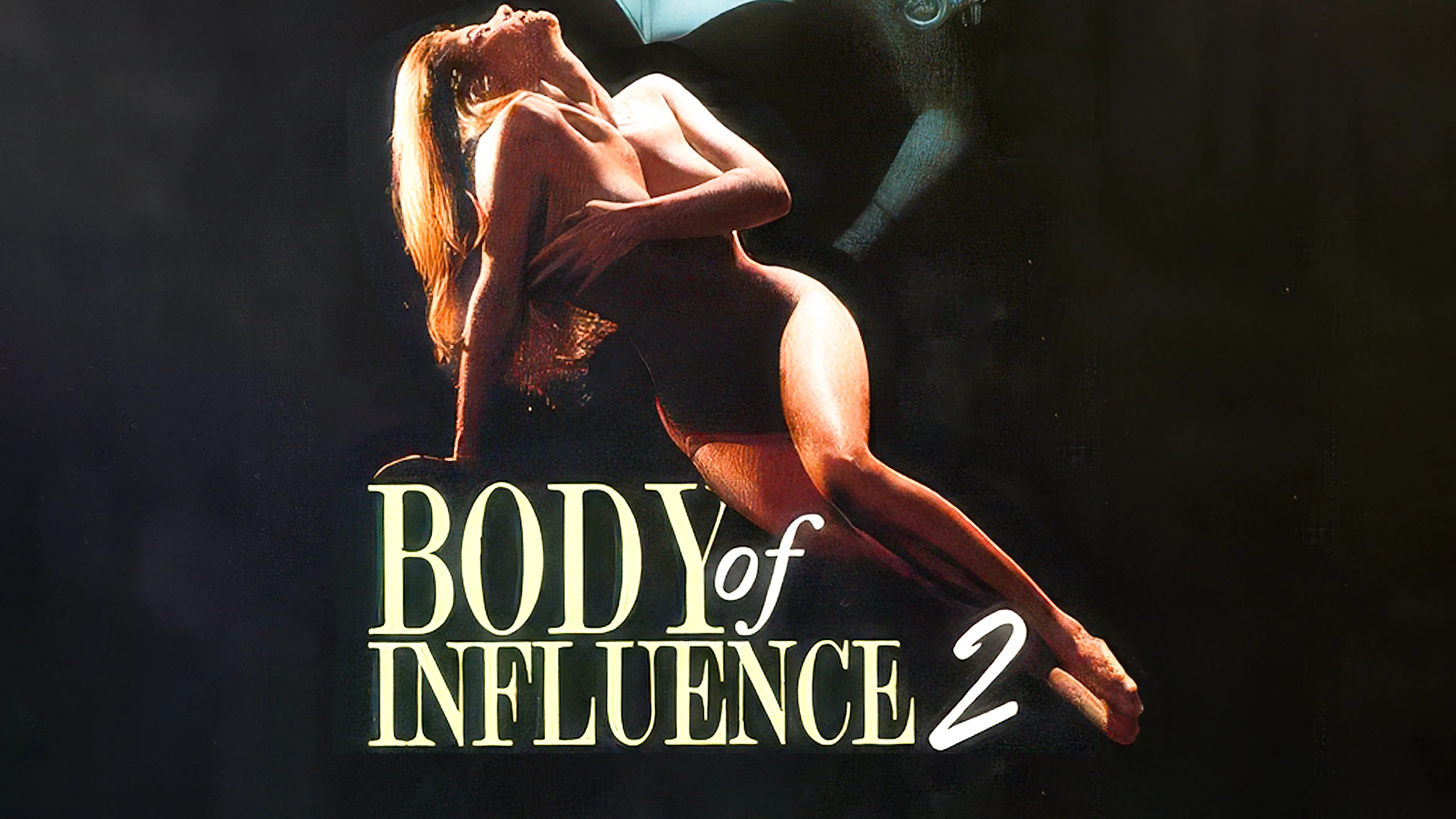 Body of Influence 2 poster